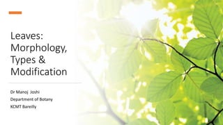 Leaves:
Morphology,
Types &
Modification
Dr Manoj Joshi
Department of Botany
KCMT Bareilly
 