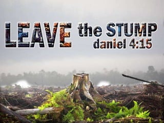 Leave the Stump