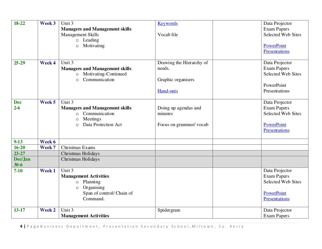 Leaving cert business plan 5th & 6th year (global business)