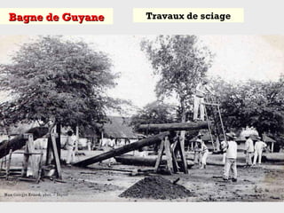 Bagne de GuyaneBagne de Guyane Travaux de sciage
 