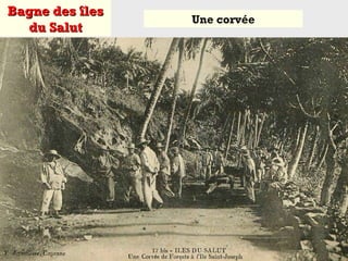 Bagne des îlesBagne des îles
du Salutdu Salut
Une corvée
 