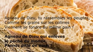 Agneau de Dieu, tu rassembles les peuples,
Comme les grains sur les collines
Viennent se fondre au même pain !
Agneau de Dieu qui enlèves
le péché du monde,
Prends pitié de nous !
 