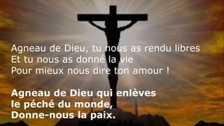 Agneau de Dieu, tu nous as rendu libres
Et tu nous as donné la vie
Pour mieux nous dire ton amour !
Agneau de Dieu qui enlèves
le péché du monde,
Donne-nous la paix.
 