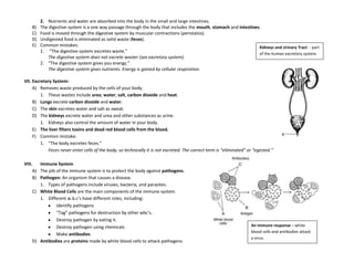 Transport: Absorbing and distributing materials throughout the body.