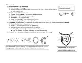Inorganic Chemicals:  Simple compounds