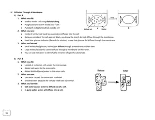 5038725293370Organic Compounds: Larger, more complex chemicals. Always contain the elements carbon (C) and hydrogen (H). Synthesized from simpler substances (building blocks).