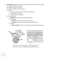 Life Processes: All living things carry out the same basic chemical processes. Taken together, these processes make up an organism’s metabolism.