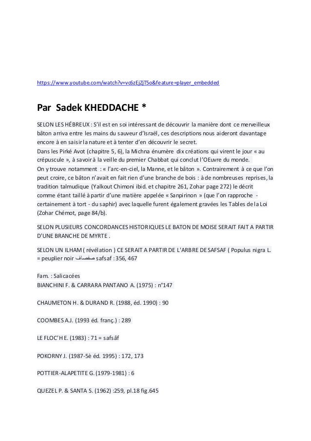 Le Bâton De Moise