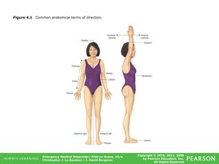 Copyright © 2016, 2011, 2009
by Pearson Education, Inc.
All Rights Reserved
Emergency Medical Responder: First on Scene, 10/e
Christopher J. Le Baudour | J. David Bergeron
Figure 4.1 Common anatomical terms of direction.
 