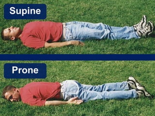 Supine
Prone
 