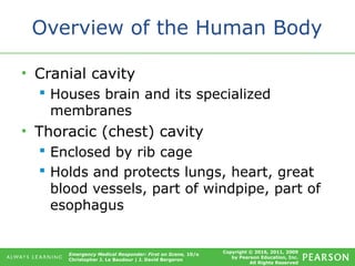 Copyright © 2016, 2011, 2009
by Pearson Education, Inc.
All Rights Reserved
Emergency Medical Responder: First on Scene, 10/e
Christopher J. Le Baudour | J. David Bergeron
Overview of the Human Body
• Cranial cavity
 Houses brain and its specialized
membranes
• Thoracic (chest) cavity
 Enclosed by rib cage
 Holds and protects lungs, heart, great
blood vessels, part of windpipe, part of
esophagus
 
