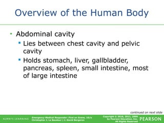 Copyright © 2016, 2011, 2009
by Pearson Education, Inc.
All Rights Reserved
Emergency Medical Responder: First on Scene, 10/e
Christopher J. Le Baudour | J. David Bergeron
Overview of the Human Body
• Abdominal cavity
 Lies between chest cavity and pelvic
cavity
 Holds stomach, liver, gallbladder,
pancreas, spleen, small intestine, most
of large intestine
continued on next slide
 