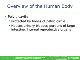 Copyright © 2016, 2011, 2009
by Pearson Education, Inc.
All Rights Reserved
Emergency Medical Responder: First on Scene, 10/e
Christopher J. Le Baudour | J. David Bergeron
Overview of the Human Body
• Pelvic cavity
 Protected by bones of pelvic girdle
 Houses urinary bladder, portions of large
intestine, internal reproductive organs
 