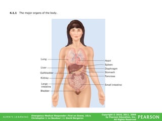 Copyright © 2016, 2011, 2009
by Pearson Education, Inc.
All Rights Reserved
Emergency Medical Responder: First on Scene, 10/e
Christopher J. Le Baudour | J. David Bergeron
4.1.1 The major organs of the body.
 