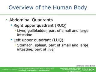 Copyright © 2016, 2011, 2009
by Pearson Education, Inc.
All Rights Reserved
Emergency Medical Responder: First on Scene, 10/e
Christopher J. Le Baudour | J. David Bergeron
Overview of the Human Body
• Abdominal Quadrants
 Right upper quadrant (RUQ)
• Liver, gallbladder, part of small and large
intestine
 Left upper quadrant (LUQ)
• Stomach, spleen, part of small and large
intestine, part of liver
continued on next slide
 