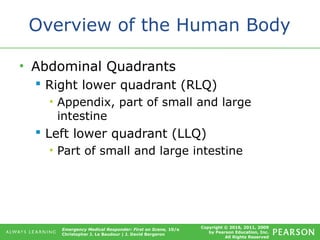 Copyright © 2016, 2011, 2009
by Pearson Education, Inc.
All Rights Reserved
Emergency Medical Responder: First on Scene, 10/e
Christopher J. Le Baudour | J. David Bergeron
Overview of the Human Body
• Abdominal Quadrants
 Right lower quadrant (RLQ)
• Appendix, part of small and large
intestine
 Left lower quadrant (LLQ)
• Part of small and large intestine
 