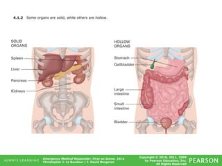 Copyright © 2016, 2011, 2009
by Pearson Education, Inc.
All Rights Reserved
Emergency Medical Responder: First on Scene, 10/e
Christopher J. Le Baudour | J. David Bergeron
4.1.2 Some organs are solid, while others are hollow.
 