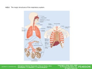 Copyright © 2016, 2011, 2009
by Pearson Education, Inc.
All Rights Reserved
Emergency Medical Responder: First on Scene, 10/e
Christopher J. Le Baudour | J. David Bergeron
4.2.1 The major structures of the respiratory system.
 