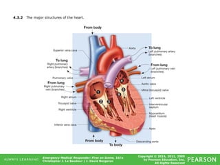 Copyright © 2016, 2011, 2009
by Pearson Education, Inc.
All Rights Reserved
Emergency Medical Responder: First on Scene, 10/e
Christopher J. Le Baudour | J. David Bergeron
4.3.2 The major structures of the heart.
 
