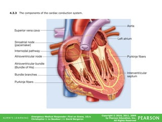 Copyright © 2016, 2011, 2009
by Pearson Education, Inc.
All Rights Reserved
Emergency Medical Responder: First on Scene, 10/e
Christopher J. Le Baudour | J. David Bergeron
4.3.3 The components of the cardiac conduction system.
 