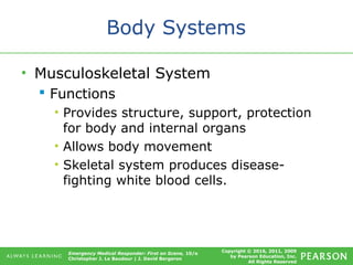 Copyright © 2016, 2011, 2009
by Pearson Education, Inc.
All Rights Reserved
Emergency Medical Responder: First on Scene, 10/e
Christopher J. Le Baudour | J. David Bergeron
Body Systems
• Musculoskeletal System
 Functions
• Provides structure, support, protection
for body and internal organs
• Allows body movement
• Skeletal system produces disease-
fighting white blood cells.
 