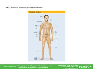 Copyright © 2016, 2011, 2009
by Pearson Education, Inc.
All Rights Reserved
Emergency Medical Responder: First on Scene, 10/e
Christopher J. Le Baudour | J. David Bergeron
4.4.1 The major structures of the skeletal system.
 