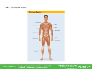 Copyright © 2016, 2011, 2009
by Pearson Education, Inc.
All Rights Reserved
Emergency Medical Responder: First on Scene, 10/e
Christopher J. Le Baudour | J. David Bergeron
4.5.1 The muscular system.
 