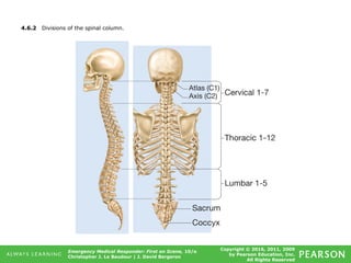 Copyright © 2016, 2011, 2009
by Pearson Education, Inc.
All Rights Reserved
Emergency Medical Responder: First on Scene, 10/e
Christopher J. Le Baudour | J. David Bergeron
4.6.2 Divisions of the spinal column.
 