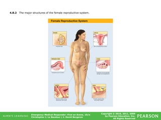Copyright © 2016, 2011, 2009
by Pearson Education, Inc.
All Rights Reserved
Emergency Medical Responder: First on Scene, 10/e
Christopher J. Le Baudour | J. David Bergeron
4.8.2 The major structures of the female reproductive system.
 
