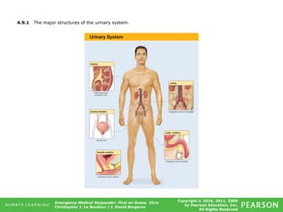 Copyright © 2016, 2011, 2009
by Pearson Education, Inc.
All Rights Reserved
Emergency Medical Responder: First on Scene, 10/e
Christopher J. Le Baudour | J. David Bergeron
4.9.1 The major structures of the urinary system.
 