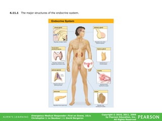 Copyright © 2016, 2011, 2009
by Pearson Education, Inc.
All Rights Reserved
Emergency Medical Responder: First on Scene, 10/e
Christopher J. Le Baudour | J. David Bergeron
4.11.1 The major structures of the endocrine system.
 