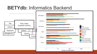 BETYdb: Informatics Backend
Cultivar
Species Prior
Covariates
Variable
Management
Site
Citation
Treatment
Functional Type
Traits, Yields,
Ecosystem Services
 
