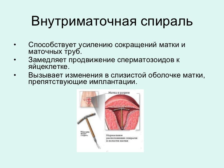Датчик маточных сокращений Датчик маточных сокращений