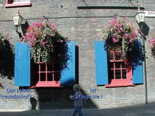 Das Leben  ist Freundschaft –  pflege sie !  