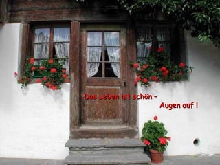 Das Leben ist schön –  mach die Augen auf ! 