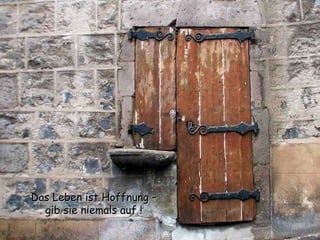 Das Leben ist Hoffnung – gib sie niemals auf ! 