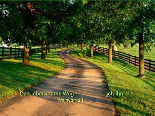 Das Leben ist ein Weg –  geh ihn vorwärts ! 