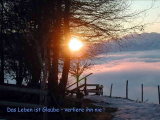 Das Leben ist Glaube – verliere ihn nie !  