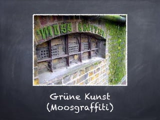 Grüne Kunst
(Moosgrafﬁti)
 