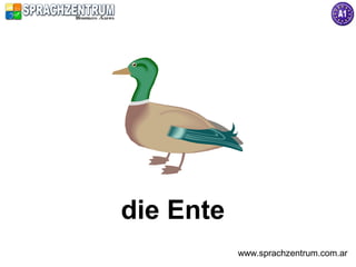 die Ente
           www.sprachzentrum.com.ar
 