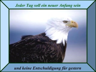 Jeder Tag soll ein neuer Anfang sein
und keine Entschuldigung für gestern
 
