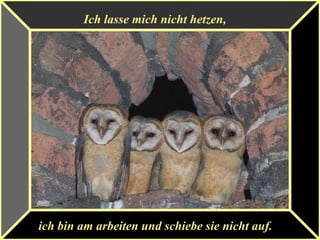 Ich lasse mich nicht hetzen,
ich bin am arbeiten und schiebe sie nicht auf.
 