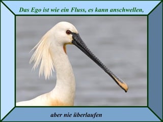 Das Ego ist wie ein Fluss, es kann anschwellen,
aber nie überlaufen
 