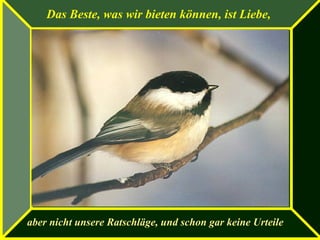 Das Beste, was wir bieten können, ist Liebe,
aber nicht unsere Ratschläge, und schon gar keine Urteile
 