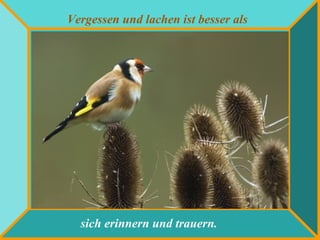 Vergessen und lachen ist besser als
sich erinnern und trauern.
 