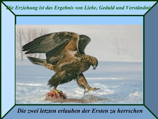 Die Erziehung ist das Ergebnis von Liebe, Geduld und Verständnis
Die zwei letzten erlauben der Ersten zu herrschen
 