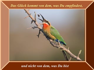 Das Glück kommt von dem, was Du empfindest,
und nicht von dem, was Du bist
 