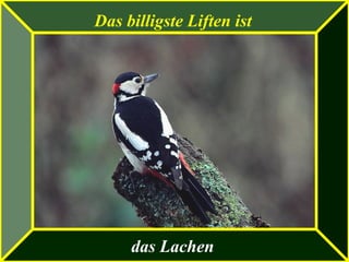Das billigste Liften ist
das Lachen
 