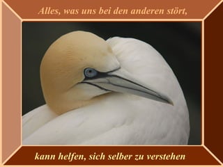 kann helfen, sich selber zu verstehen
Alles, was uns bei den anderen stört,
 