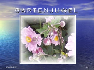 G A R T E N J U W E L  DESIDERATA 